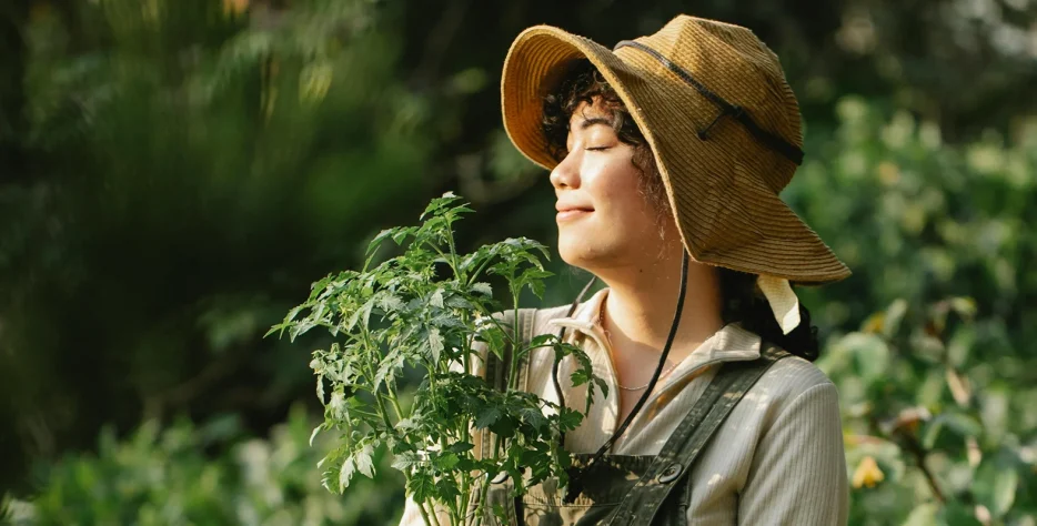 We grow fresh, organic produce using clean methods that protect nature, healthy food.