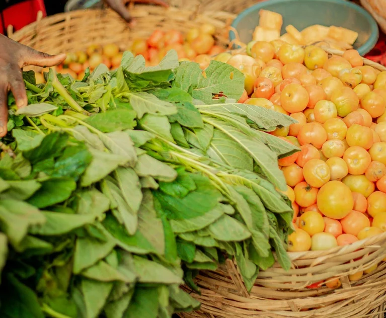 Ultrices sagittis orci a scelerisque purus semper eget duis at. Sollicitudin nibh sit amet.