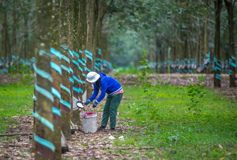 • Diversified Products and Markets • Export Quality Products • ISO Certified Management and Production Systems